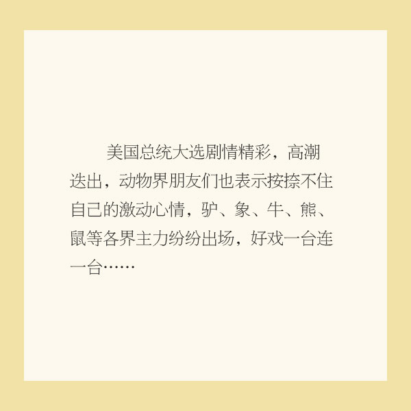 TooNews | 漫画美国大选