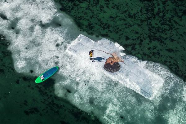 在北极浮冰上画肖像画，因为脆弱更显珍贵