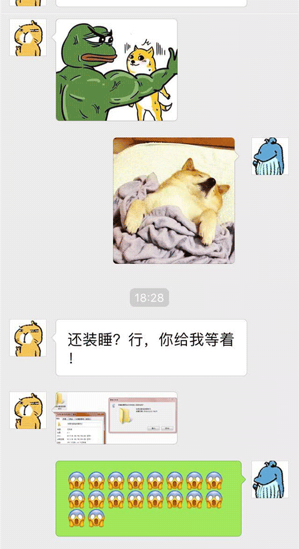 澎湃联播|双十一谁把澎澎购物车清了，就把湃湃送给他