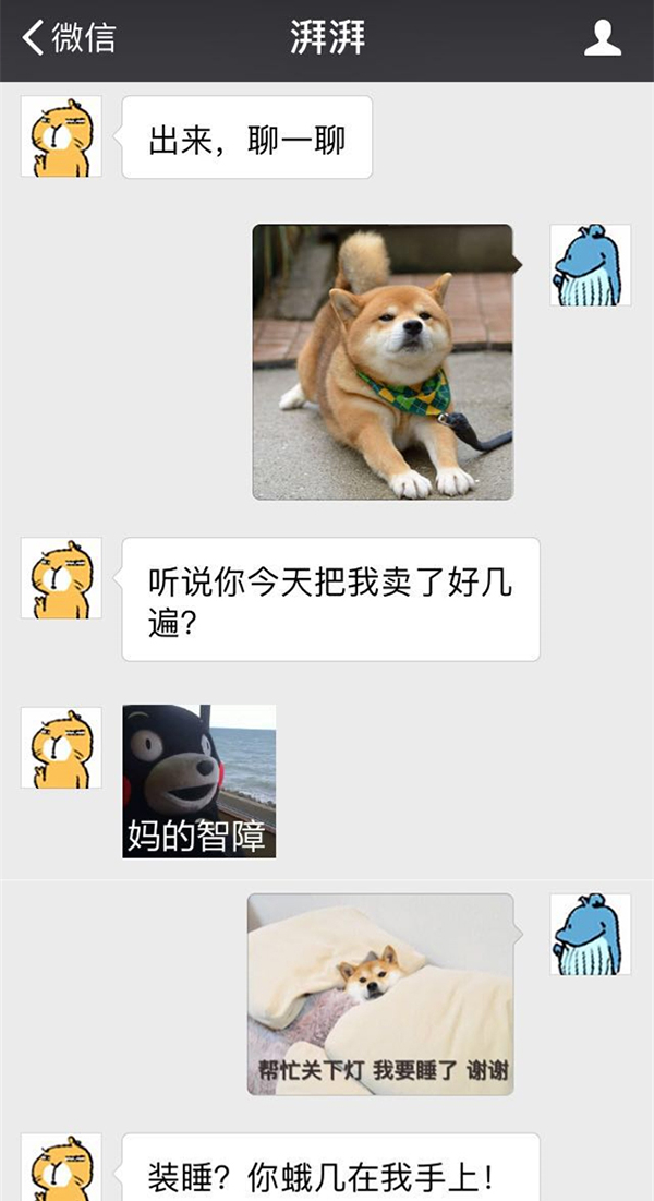 澎湃联播|双十一谁把澎澎购物车清了，就把湃湃送给他