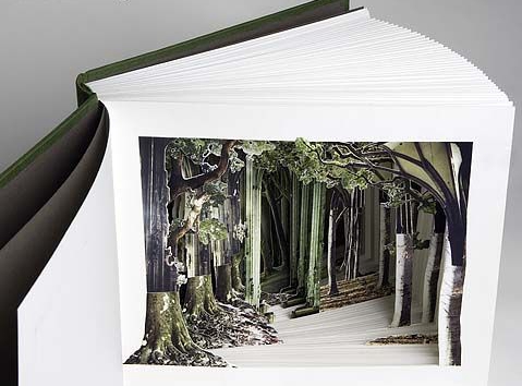 真正的立体书可不是豪华加长版的贺年卡