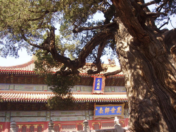 访谈︱史语所所长黄进兴：为什么说孔庙是儒教的圣域