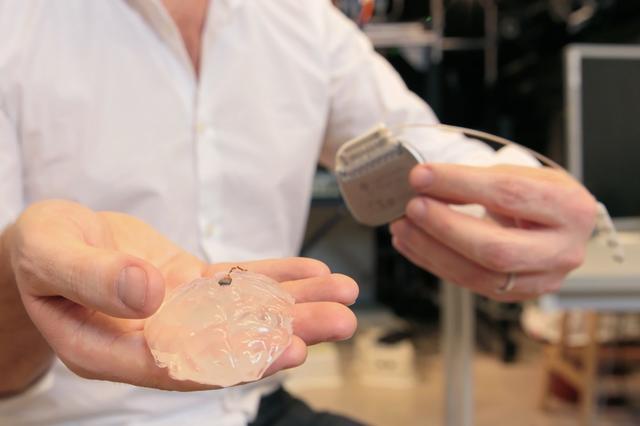 脑机接口：让瘫痪的猴子重新行走！