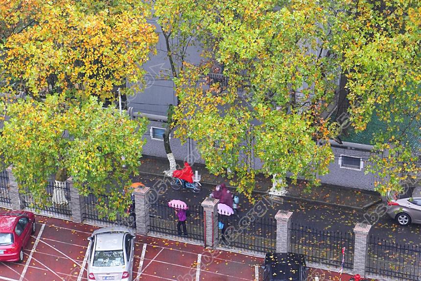 雨中南通 湿润的风景 (3).jpg