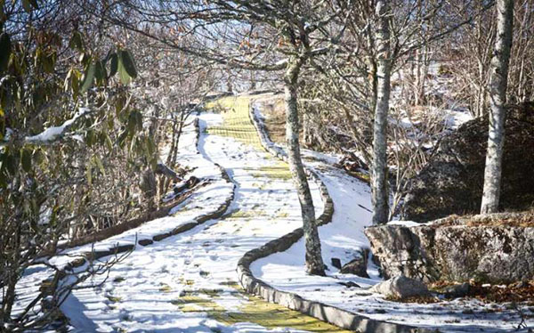 被废弃的童年游乐场