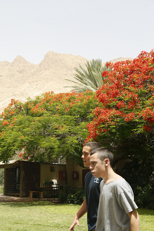 社会主义的基布兹，让沙漠鲜花盛开