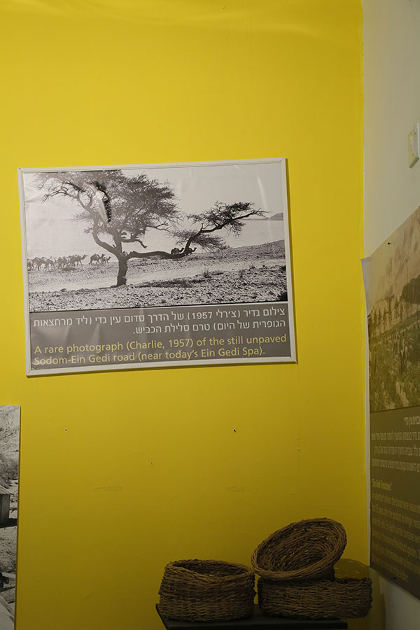 社会主义的基布兹，让沙漠鲜花盛开