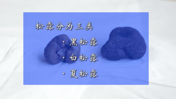 视频丨中国式松露采摘：过早采挖有损营养价值影响种系繁衍