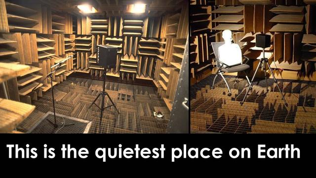 人偶、收音机与树叶焚烧的气味：幻觉究竟是什么？