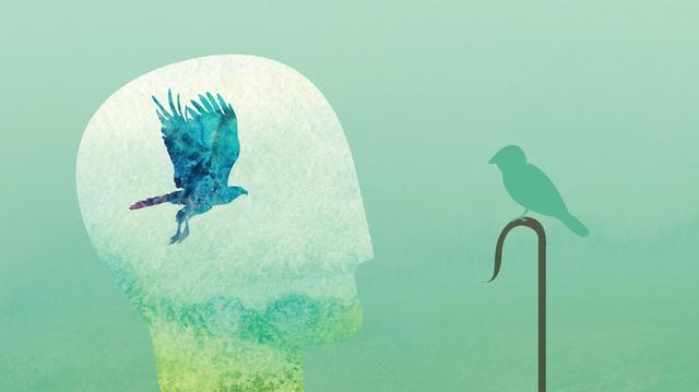 人偶、收音机与树叶焚烧的气味：幻觉究竟是什么？