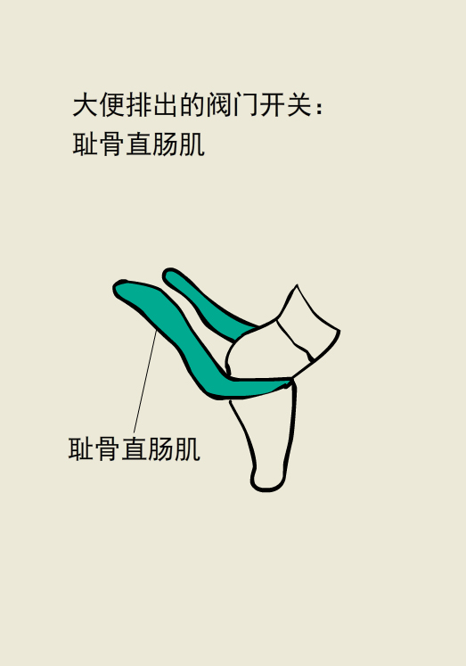 漫画｜胆挺大呀，蹲坑还敢玩手机？