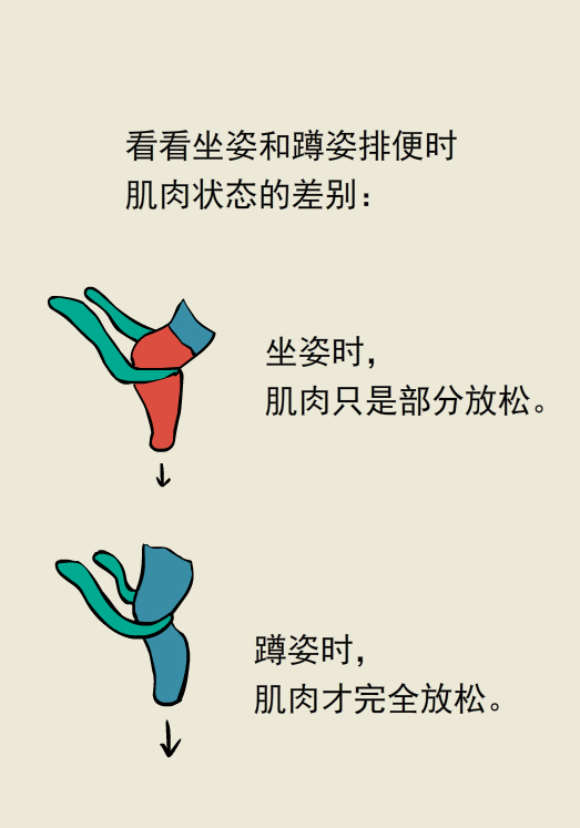 漫画｜胆挺大呀，蹲坑还敢玩手机？