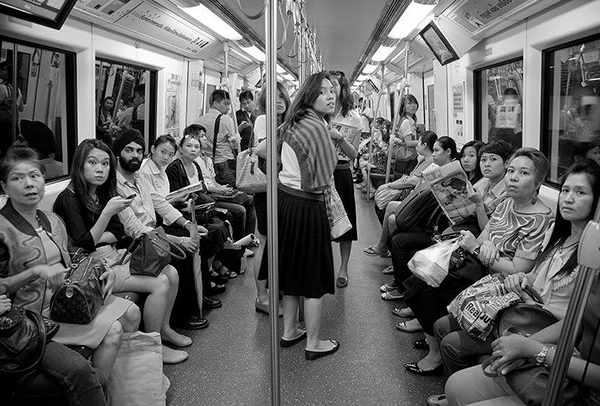 趣看｜汪星训练员教你宠物摄影，如何让33只狗狗同时看镜头