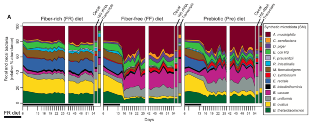 膳食纤维吃不够，后果可能很严重