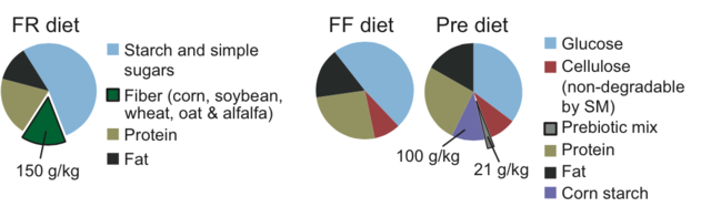 膳食纤维吃不够，后果可能很严重