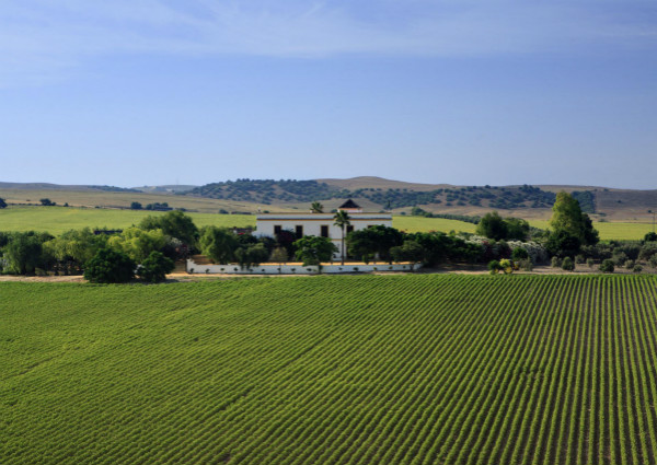 殖民北美洲︱欧洲列强管理各自殖民地的方式有何不同？