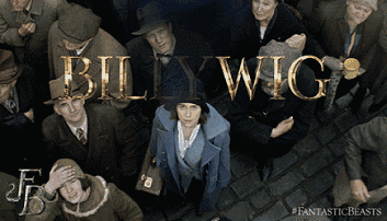 看爽《神奇动物》，你一定需要这份功课