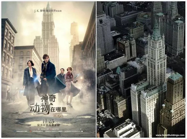 看爽《神奇动物》，你一定需要这份功课
