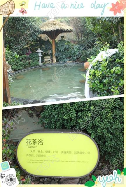 花茶浴_副本.jpg