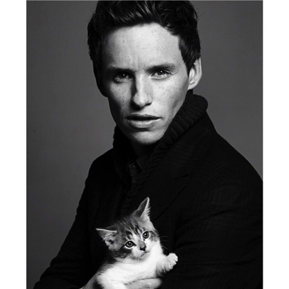 除了《神奇动物》奥斯卡影帝雷德梅尼还演过哪些小说改编片