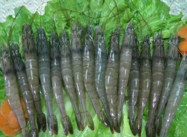 虾头变黑了？这可不是“重金属污染”