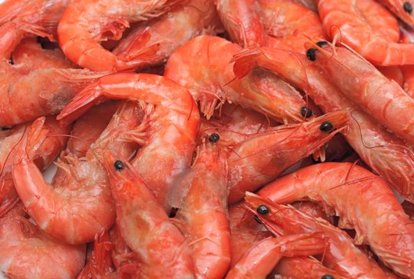 虾头变黑了？这可不是“重金属污染”