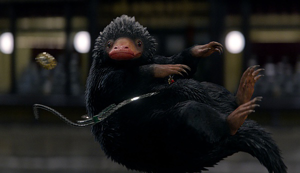 《神奇动物》里的神奇动物来自哪里