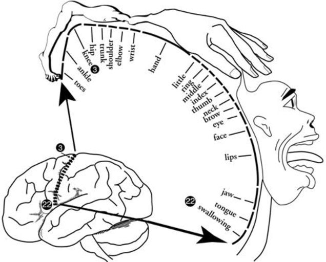 一觉醒来发现我和她换了身体！这样也可以吗？