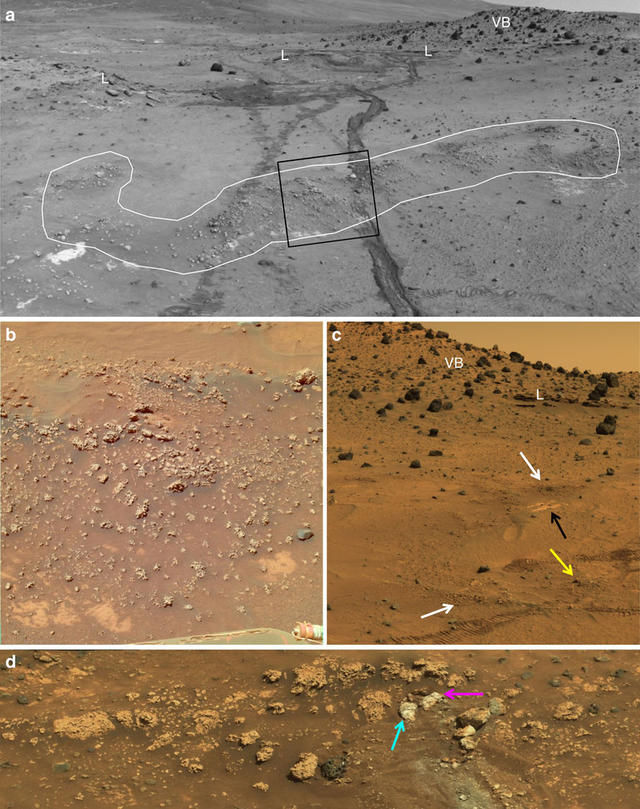 火星上的生命证据，在地球上找到了？