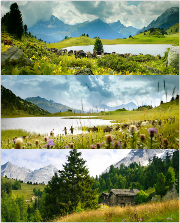 睡不着丨豆瓣评分8.9，仍不足以形容这部片子的好