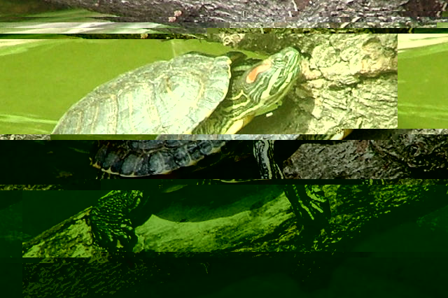 小雀斑是我同行！麻瓜救助师眼中的《神奇动物》