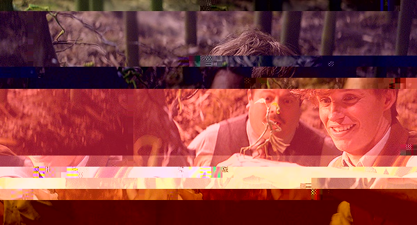 小雀斑是我同行！麻瓜救助师眼中的《神奇动物》