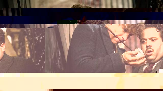 小雀斑是我同行！麻瓜救助师眼中的《神奇动物》