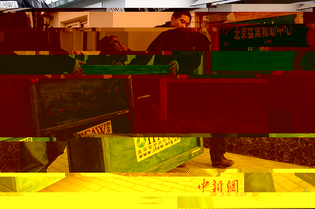 小雀斑是我同行！麻瓜救助师眼中的《神奇动物》