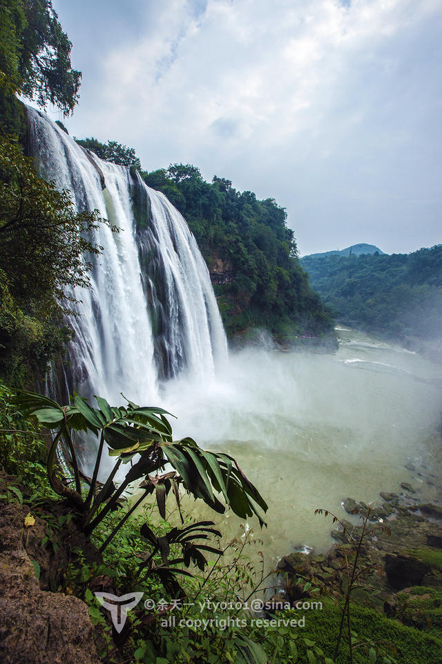 《海洋奇缘》植物观影指南