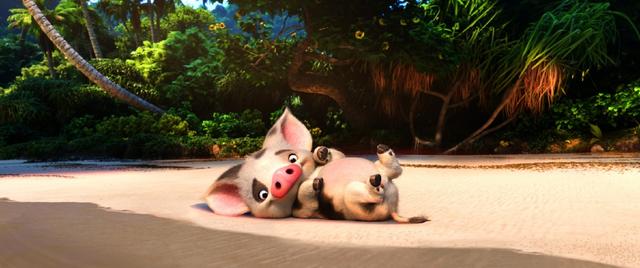 《海洋奇缘》植物观影指南