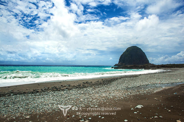 《海洋奇缘》植物观影指南