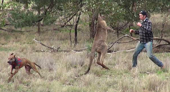 澎湃联播|当受到侵犯，请大声说出你的故事