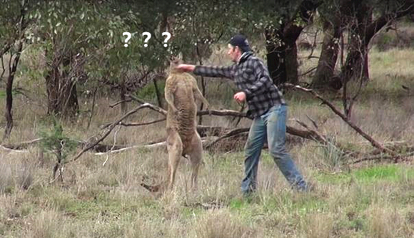 澎湃联播|当受到侵犯，请大声说出你的故事