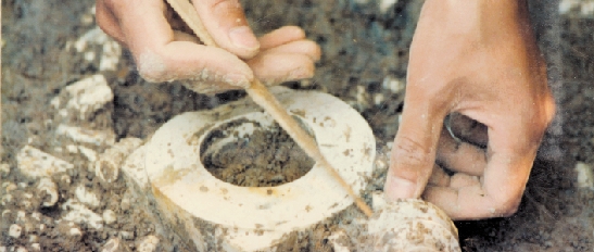 浙江各地宋元墓志的出土和整理情况有何不同？