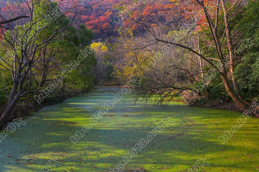 仲冬时节 南通小九寨沟秋色依侬 (1).jpg