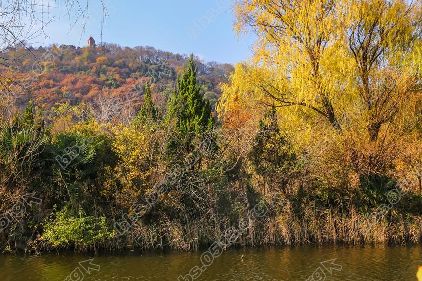 仲冬时节 南通小九寨沟秋色依侬 (2).jpg