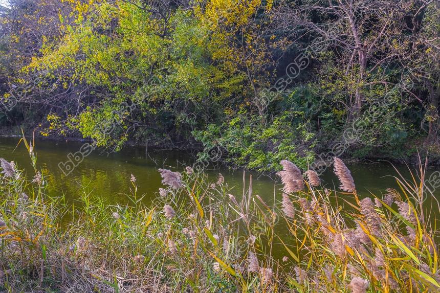 仲冬时节 南通小九寨沟秋色依侬 (5).jpg