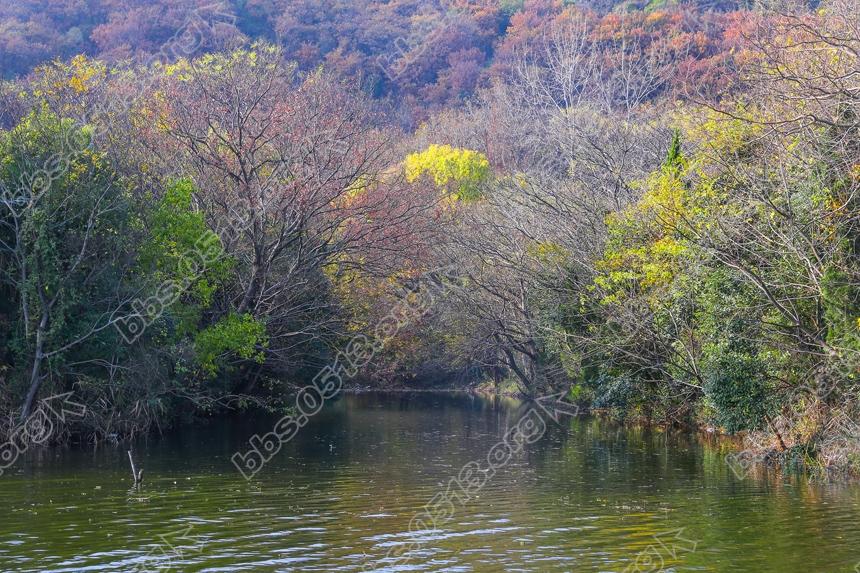 仲冬时节 南通小九寨沟秋色依侬 (4).jpg