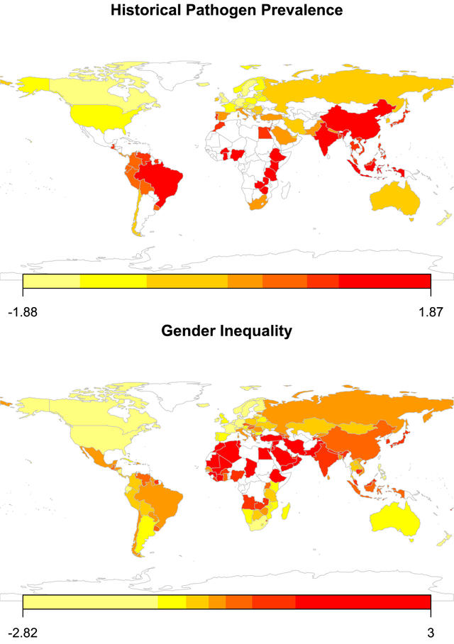 当传染病被消灭，女性地位也在提升