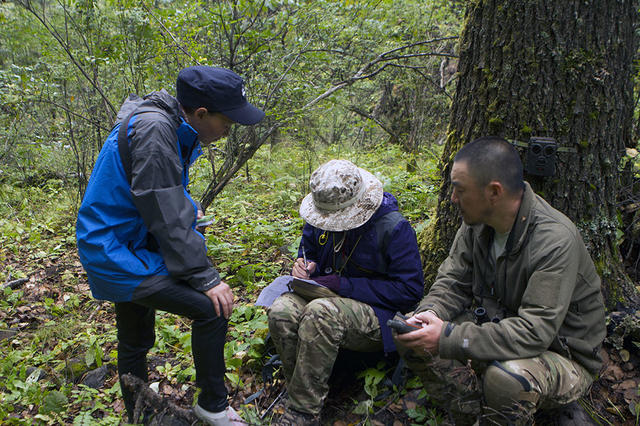 猫盟：在那山的那边林的那边有群人拍“猫片”