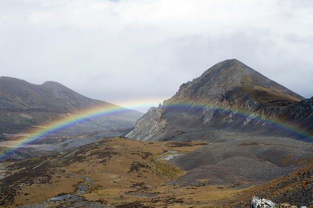 猫盟：在那山的那边林的那边有群人拍“猫片”