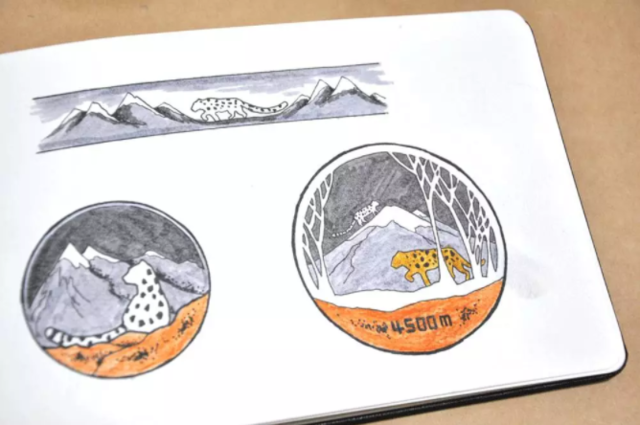 猫盟：在那山的那边林的那边有群人拍“猫片”