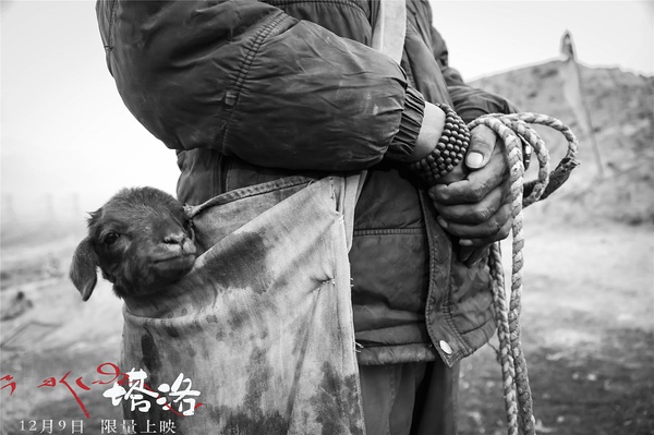 万玛才旦的小说不像他的电影，有更多超越藏族文化的地方