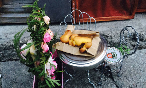 趣看｜瑞典的街角新开了一家迷你坚果铺，只有老鼠才能来作客